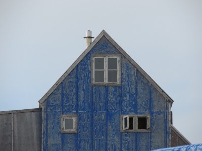 DSCN0431.JPG