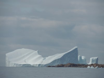 DSCN0513.JPG