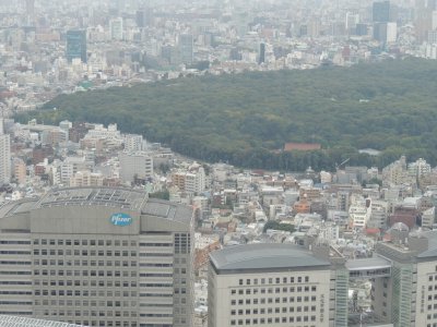 DSCN3591.JPG
