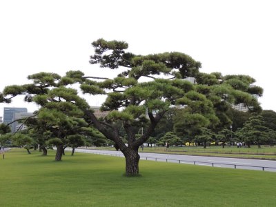 DSCN3618.JPG