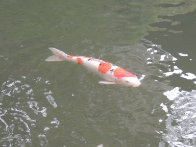 DSCN3648.JPG