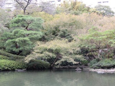 DSCN3650.JPG
