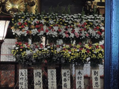 DSCN3705.JPG