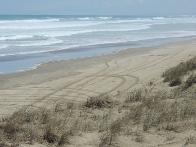 DSCN3845.JPG