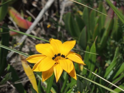 DSCN3847.JPG