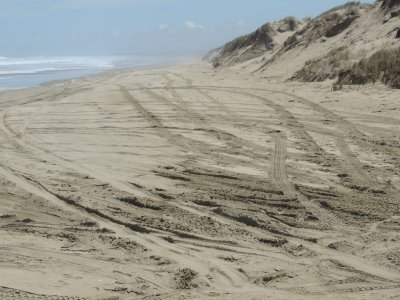 DSCN3855.JPG