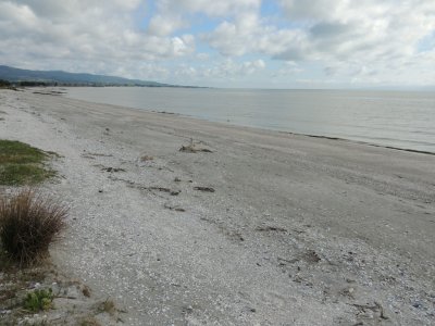 DSCN3986.JPG