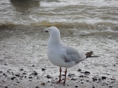 DSCN3991.JPG