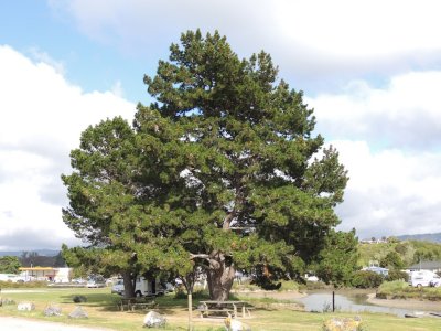 DSCN3997.JPG