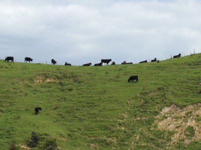 DSCN4086.JPG