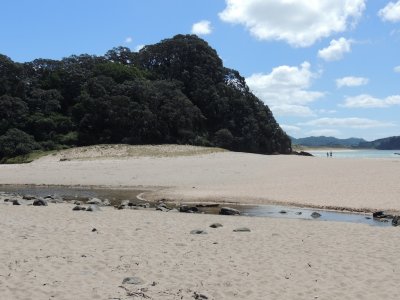 DSCN4154.JPG
