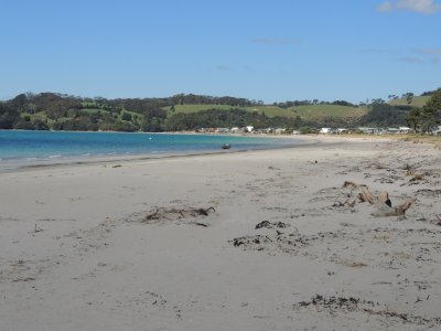 DSCN4194.JPG