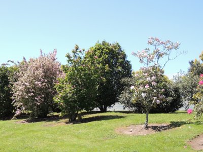 DSCN4659.JPG
