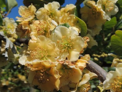DSCN4700.JPG