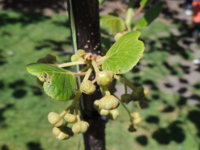 DSCN4702.JPG