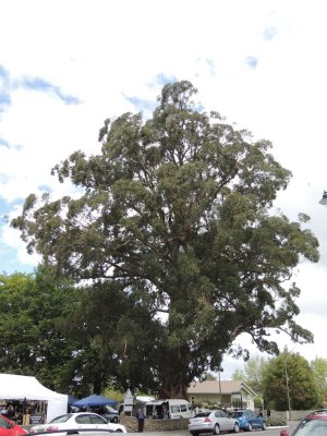 DSCN4982.JPG