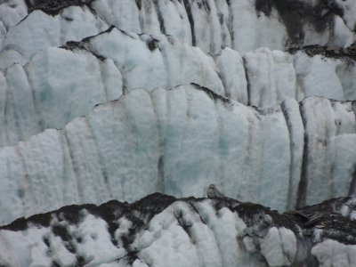 DSCN5330.JPG