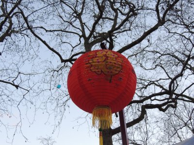 DSCN6190.JPG