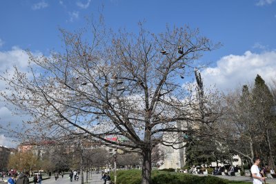 DSC_0054.JPG