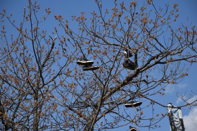 DSC_0056.JPG