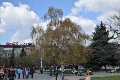 DSC_0076.JPG