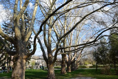 DSC_0175.JPG