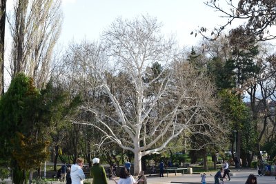 DSC_0182.JPG