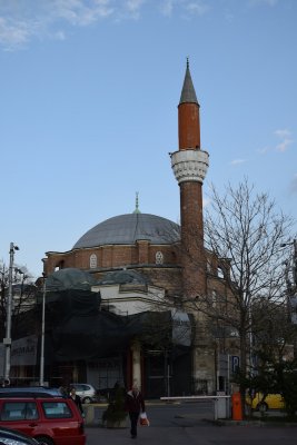 DSC_0230.JPG