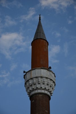DSC_0231.JPG