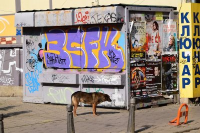 DSC_0276.JPG