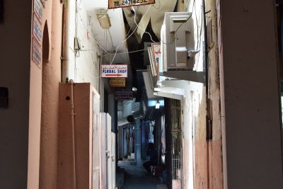 DSC_0416.JPG