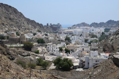 DSC_0439.JPG