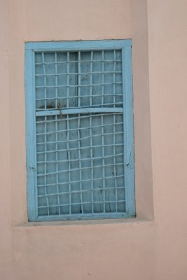 DSC_0446.JPG