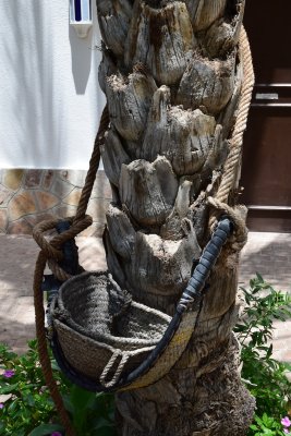 DSC_0453.JPG