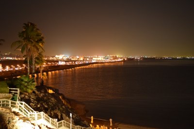 DSC_0499.JPG