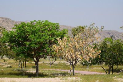 DSC_0514.JPG