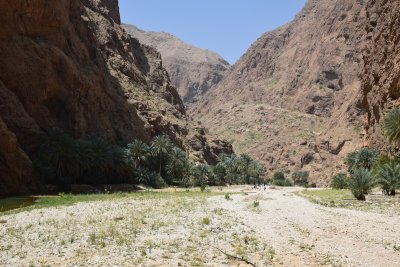 DSC_0520.JPG