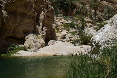 DSC_0534.JPG