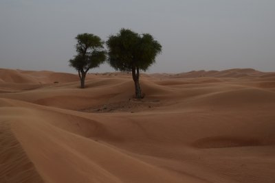 DSC_0634.JPG