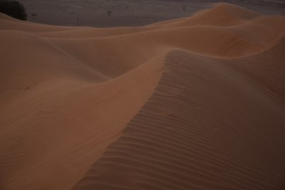 DSC_0649.JPG