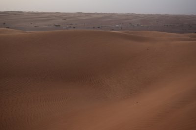 DSC_0650.JPG