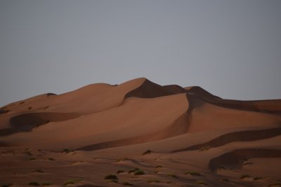 DSC_0690.JPG
