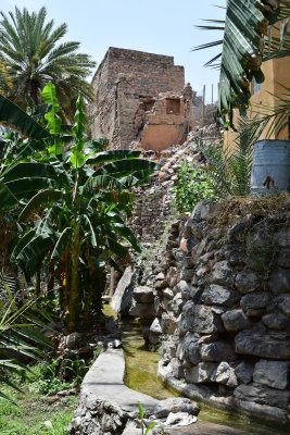 DSC_0784.JPG