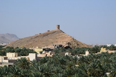 DSC_0982.JPG
