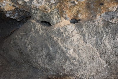 DSC_1021.JPG