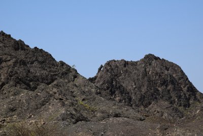 DSC_1023.JPG
