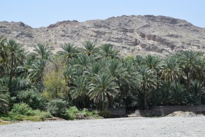 DSC_1030.JPG