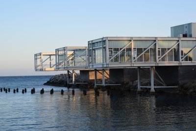 DSC_1312.JPG