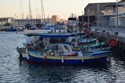 DSC_1313.JPG