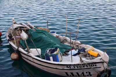DSC_1314.JPG